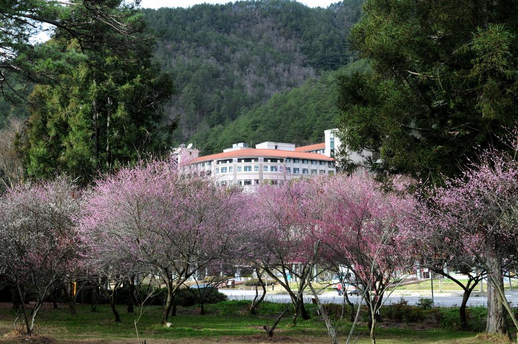 Hoya Resort, Wuling Hoping Kültér fotó